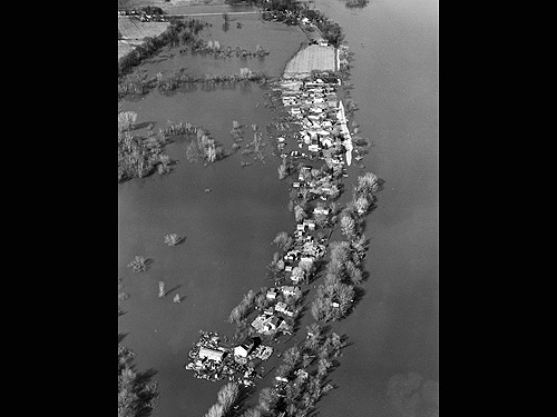 flood19513